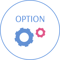 option